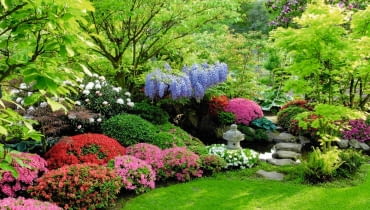 Rabata skomponowana z różanecznikow i azalii Kleiner Fr´hlingsgarten mit Rasenfl che und bl´henden Ziergeh^lzen mit Rasenkante. An der Gartengrenze: in Kugelform geschnittene rosafarbene Azaleen (Azalea) und Blauregen (Wisteria). Hinten: kleine japanische Steinlaterne. SLOWA KLUCZOWE: asiatischer Garten Azalea Azalee Blauregen bl´hend Bl´te Deutschland Fr´hling Fr´hlingsgarten Garten gartendeko Gartengew sser Garten mit Bl´tengeh^lzen Gartenreportage Gartenreportage Glaser Gartenteich Gew sser Japan Japangarten japanisch Japanischer Garten Kleiner garten Mai Miniteich Rasen Reportage Rhododendron Schrebergarten Steinlaterne trittstein wisteria Ziergarten Ziergeh^lze FocusOnGarden J´rgen Becker Querformat