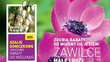 Okładka miesięcznika Kwietnik 03/2012 Okładka miesięcznika Kwietnik 03/2012