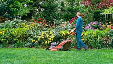 14.05.2003 WROCLAW OKOLICE MIASTA OGROD PRYWATNY KRZEWY LISCIASTE RODODENDRON AZALIA RHODODENDRON TRAWNIK PRACE PIELEGNACYJNE KOSZENIE TRAWY KOSIARKA KWIATY FOT PAWEL SLOMCZYNSKI / AGENCJA GAZETA