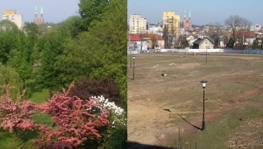 Park przed i po wycince Park przed i po wycince