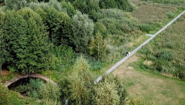 Line - Paweł Grobelny