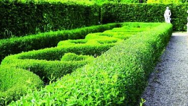 a05.07.2006 DOBRZYCA K/KOSZALINA CENTRUM OGRODNICZE HORTULUSNZ OGRODY TEMATYCZNE HORTULUSA , ROSLINY - STRZYZONE FORMOWANE ZYWOPLOTY UWAGA !!! ZDJECIA ZAMIESZCZAMY Z INFORMACJA PODPISEMHORTULUS W DOBRZYCYDLA CZASOPISMA OGRODY , KWIETNIKFOT. ARKADIUSZ SCICHOCKI / AGENCJA GAZETAPUBLIKACJA OGRODY NUMER SPECJALNY 1/2008 - OGROD DLA CIEBIE - 5 2008