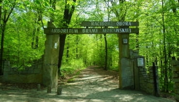 Arboretum w Raciborzu Arboretum w Raciborzu