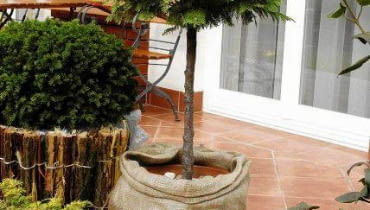 Duże donice nieco ocieplmy. To wystarczy, by odporne gatunki iglaków przetrwały zimę na tarasie. ZYWOTNIK WSCHODNI THUJA ORIENTALIS FORMA PIENNA DRZEWKO SZCZEPIONE NA PNIU OWIJANIE POJEMNIKA NA ZIME OCHRONA PRZED PRZEMARZANIEM WOREK JUTOWY PIELEGNACJA UPRAWA JESIEN FOT. PAWEL SLOMCZYNSKI / AGENCJA GAZETA PUBLIKACJA KWIETNIK NUMER SPECJALNY - BALKONY I TARASY - WIOSNA 2003 SLOWA KLUCZOWE: ROSLINY OGRODNICTWO ZDJĘCIE DO WKŁADKI: PUBLIKACJA KWIETNIK NUMER SPECJALNY - BALKONY I TARASY - CZASOPISMA