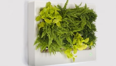 Wiszące ogrody w wersji mini zieleń, rośliny, technologia, ekologia, eko, design