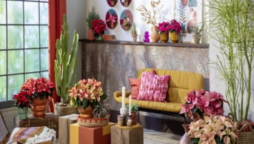 Mocne kolory, naturalne materiały i wyraziste wzory tworzą klimat inspirowany meksykańską codziennością – pełen energii, radości i zaskakującej różnorodności.