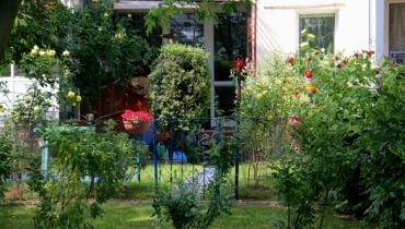 Zieleń za oknami, czyli ogródki przy blokach. Zieleń za oknami, czyli ogródki przy blokach.