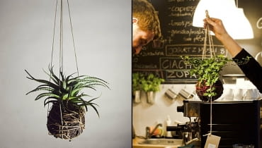 Polski projekt: KuleKule KuleKule, Kule, rośliny bez doniczek, kwiaty bez doniczek, polski projekt, polski design
