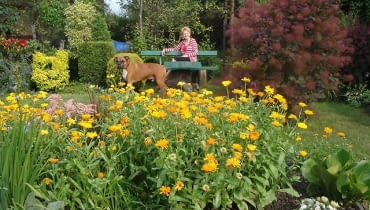 Ogród Pani Grażyny Ogród Pani Grażyny