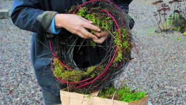 1. Zrobienie wianka ułatwia mi obręcz z wierzbowych pędów (wykorzystuję ją kilka razy jako podkład). Aby wyglądała świeżo, wplatam w nią młode gałęzie brzózek i czerwone pędy derenia białego odmiany 'Sibirica'. Dodaję też mech - spełnia on również funkcję wilgotnej naturalnej gąbki florystycznej. 1. Zrobienie wianka ułatwia mi obręcz z wierzbowych pędów (wykorzystuję ją kilka razy jako podkład). Aby wyglądała świeżo, wplatam w nią młode gałęzie brzózek i czerwone pędy derenia białego odmiany 'Sibirica'. Dodaję też mech - spełnia on również funkcję wilgotnej naturalnej gąbki florystycznej.
