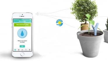 Flower Power Flower Power