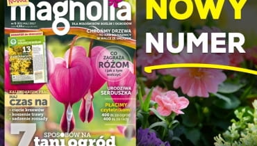 Magazyn Magnolia Magazyn Magnolia