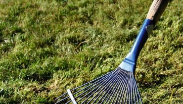 Stare pędy traw, mech i zgniłe liście tworzą na trawniku filc, który trzeba wiosną dokładnie zgrabić. Stare pędy traw, mech i zgniłe liście tworzą na trawniku filc, który trzeba wiosną dokładnie zgrabić.