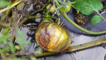 SONY DSC8BIM%WuX`z8BIM:printOutputPstSboolInteenumInteClrmprintSixteenBitboolprinterNameTEXTprintProofSetupObjcUstawienie prbyproofSetupBltnenumbuiltinProofproofCMYK8BIM;