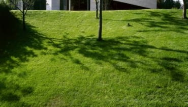 Widok na dom od północy, od strony pradoliny Wisły. Właściciele żałują, że imponujący widok, który mógłby się stąd rozciągać aż nad samą rzekę, przesłoniło brzydkie blokowisko wzniesione w dolinie Widok na dom od północy, od strony pradoliny Wisły. Właściciele żałują, że imponujący widok, który mógłby się stąd rozciągać aż nad samą rzekę, przesłoniło brzydkie blokowisko wzniesione w dolinie