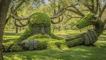 Baśniowa scena w cieniu drzew.