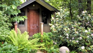Woodland garden with custom built garden shed.