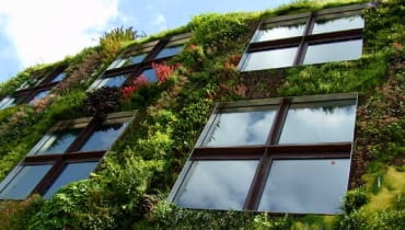 Zieleń nadaje architekturze nowych znaczeń, a fuzja pomiędzy technologią i naturą powoli wchodzi do kanonu projektowania. Coraz częściej roślinność wkracza w świat budynków, staje się namiastką dzikiej przyrody, pozwala odizolować się od zgiełku metropolii, a przy tym stanowi oryginalny element estetyczny. Prezentujemy przykłady żywych fasad. (na zdjęciu: ściana Musée du quai Branly w Paryżu (autor założenia J. Nouvel) projekt fasady - Patrick Blank) paryż, branly, patrick blank