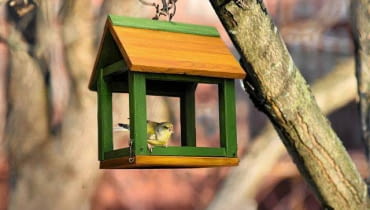 Karmnik dla ptaków Karmnik dla ptaków