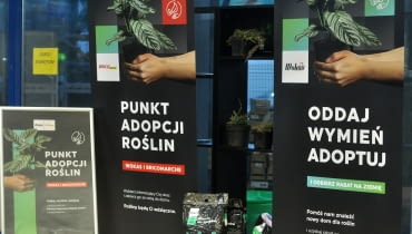 Punkt adopcji roślin Punkt adopcji roślin