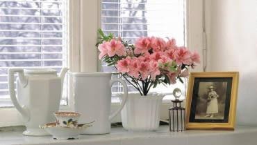 AZALIA AZALEA PORCELANA ARANZACJA FOT. PAWEL SLOMCZYNSKI / AGENCJA GAZETA PUBLIKACJA KWIETNIK NR 10 (130) - 10.2005 SLOWA KLUCZOWE: ROSLINY NACZYNIA WNETRZA KWIATY ZDJĘCIE DO WKŁADKI: PUBLIKACJA KWIETNIK NR 10 (130) - CZASOPISMA