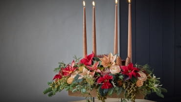 Unoszący się nad stołem, elegancki wieniec wykonany z ciętych poinsecji, suszonych kwiatów - w tym banksji i protei - gałązek palmy daktylowej (Phoenix dactylifera), zielonych gałązek i szyszek ozdobi każde wnętrze. Magia adwentu z poinsecją