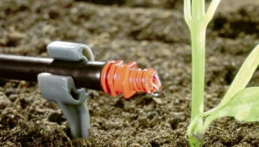 Nawadnianie rabat. Jeśli mamy kroplowniki z kompensacją ciśnienia, możemy w każdym ustawić inny wypływ wody (od 1 do 8l/godz.) dostosowując go do potrzeb nawadnianej rośliny ONE TIME USE ONLY DO JEDNOKROTNEJ PUBLIKACJI OGROD PODLEWANIE SYSTEM NAWADNIAJACY KROPLOWNIK FOT. GARDENA PUBLIKACJA KWIETNIK NR 7 (163) - 7 2008 SLOWA KLUCZOWE: OGRODY WODA OGRODNICTWO ZDJĘCIE DO WKŁADKI: PUBLIKACJA KWIETNIK NR 7 (163) - CZASOPISMA