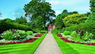 Rabaty z begoniami i kannami nawiązują do angielskich ogrodów wiejskich. Rabaty z begoniami i kannami nawiązują do angielskich ogrodów wiejskich.