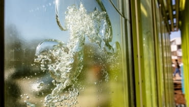 BIQ Algenhaus w Hamburgu WIBA Hamburg GmbH: Eroeffnung der Internationalen Bauausstellung Hamburg in Wilhelmsburg