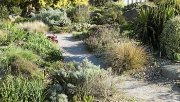 The Dry Garden in spring at RHS Garden Hyde Hall.