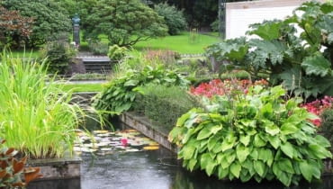 Ogród Muséhagen w Bergen