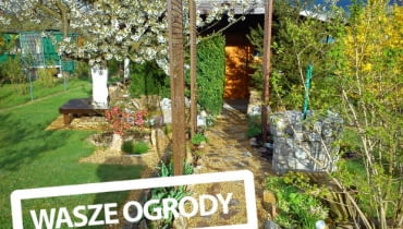Ogród Państwa Kowalskich Ogród Państwa Kowalskich