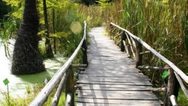 Bolestraszyce k. Przemyśla