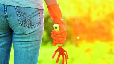 shutterstock_177067622 Efired shutterstock_177067622 Efired