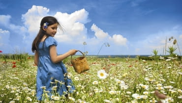 Powiązane w pęczki bukieciki z rumianku, lebiodki i krwawnika powieszono kwiatostanami w dół w suchym pomieszczeniu. Powiązane w pęczki bukieciki z rumianku, lebiodki i krwawnika powieszono kwiatostanami w dół w suchym pomieszczeniu.