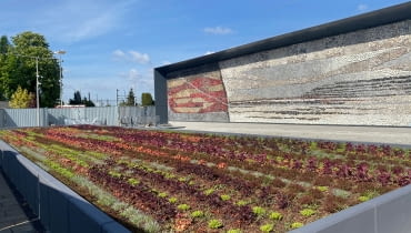 Kwietna mozaika przed dworcem PKP w Oświęcimiu