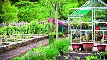 Wiosną i latem zimna szklarnia świetnie nadaje do przygotowywania rozsady warzyw i kwiatów.