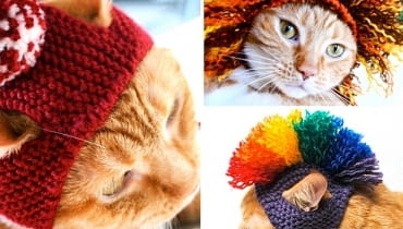 Czapki dla kotów; proj. Bitch Knits czapki dla kotów, szydełkowe czapki