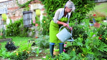 Cukinię i inne warzywa warto zasilać nawozem płynnym z humusem.