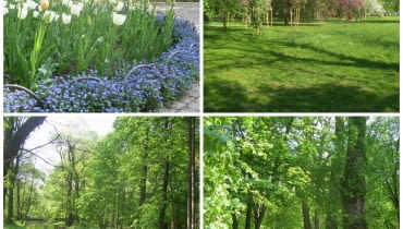 Przewodnik po Łazienkach Królewskich [Ogród Modernistyczny]