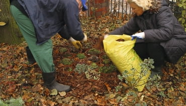 liście 12.11.03 ZALESINEK OGROD JESIEN OGRODOWE PRACE JESIENNE ZABEZPIECZENIE ROSLIN OKRYWANIE PRZED ZIMA OBSYPYWANIE KORA DO PISMA KWIETNIK ARANZACJA PANI DANUTA MLOZNIAK FOT. PAWEL SLOMCZYNSKI / AGENCJA GAZETA PUBLIKACJA KWIETNIK NR 12 (120) - 12.2004 SLOWA KLUCZOWE: OGRODNICTWO KOBIETY ZDJĘCIE DO WKŁADKI: PUBLIKACJA KWIETNIK NR 12 (120) - CZASOPISMA