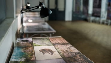 Wystawa „Zdjęcia Architektów" w Przystanku Architektura