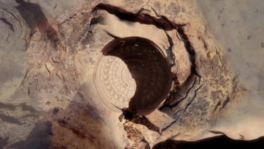 Hotel w Al-Ula w Arabii Saudyjskiej. Proj. Jean Nouvel Hotel w Al-Ula w Arabii Saudyjskiej. Proj. Jean Nouvel