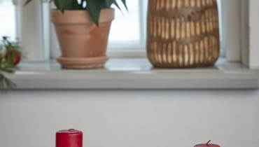 Aranżacja adwentowa z poinsecją w blasze do pieczenia Aranżacja adwentowa z poinsecją w blasze do pieczenia