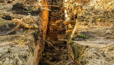 Kopanie rowu w pobliżu korzeni jest możliwe, gdy nie ma mrozu. Kopanie rowu w pobliżu korzeni jest możliwe, gdy nie ma mrozu.