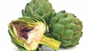 PĄKI KARCZOCHA ZWYCZAJNEGO są cenione przez smakoszy. PĄKI KARCZOCHA ZWYCZAJNEGO są cenione przez smakoszy.