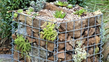 Gabione bef´llen und bepflanzen SLOWA KLUCZOWE: Bepflanzung Beratung Farbe Flechtkorb Fotografie Gabione Korb Pflanze Portrait anpflanzen auff´llen bepflanzen einpflanzen vertikal auff´llen Hochformat