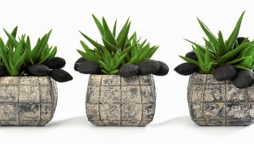 Surowa prostota. Surowa prostota.