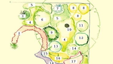 1. bukszpan wiecznie zielony, 2. żurawka drobna 'Palace Purple,' 3. cyprysik japoński 'Crippsii', 4. bergenia Schmidta, 5. konwalia majowa, 6. jaśminowiec 'Virginal', 7. cyprysik japoński 'Boulevard', 8. forsycja pośrednia 'Goldzauber', 9. mikrobiota syberyjska, 10. czereśnia, 11. pigwowiec pośredni 'Crimson and Gold,' 12. suchodrzew chiński , 13. krzewuszka cudowna, 14. tawuła japońska 'Anthony Waterer', 15. świerk pospolity 'Nidiformis' , 16. jałowiec pośredni 'Gold Star,' 17. bodziszek czerwony , 18. dzwonek Poszarskiego. 1. bukszpan wiecznie zielony, 2. żurawka drobna 'Palace Purple,' 3. cyprysik japoński 'Crippsii', 4. bergenia Schmidta, 5. konwalia majowa, 6. jaśminowiec 'Virginal', 7. cyprysik japoński 'Boulevard', 8. forsycja pośrednia 'Goldzauber', 9. mikrobiota syberyjska, 10. czereśnia, 11. pigwowiec pośredni 'Crimson and Gold,' 12. suchodrzew chiński , 13. krzewuszka cudowna, 14. tawuła japońska 'Anthony Waterer', 15. świerk pospolity 'Nidiformis' , 16. jałowiec pośredni 'Gold Star,' 17. bodziszek czerwony , 18. dzwonek Poszarskiego.