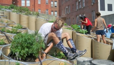 Podwyższona grządka w centrum Nowego Jorku Nieużytki sztuki